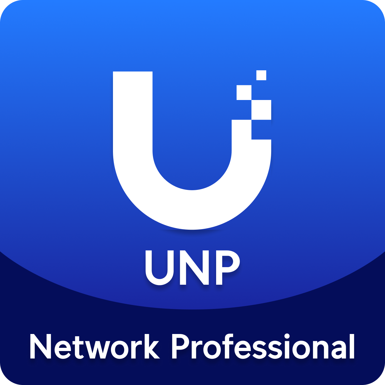 UniFi Network Professional